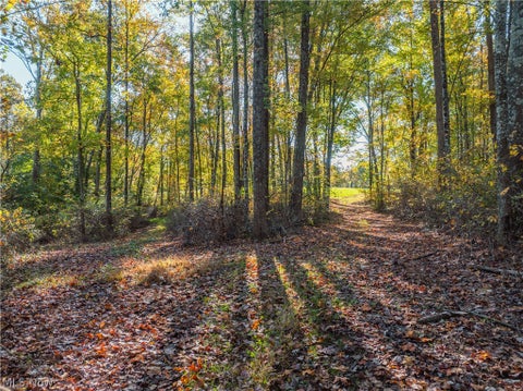 Tiny photo for 11560 Ralston Road, Kimbolton, OH 43749 (MLS # 5255389)
