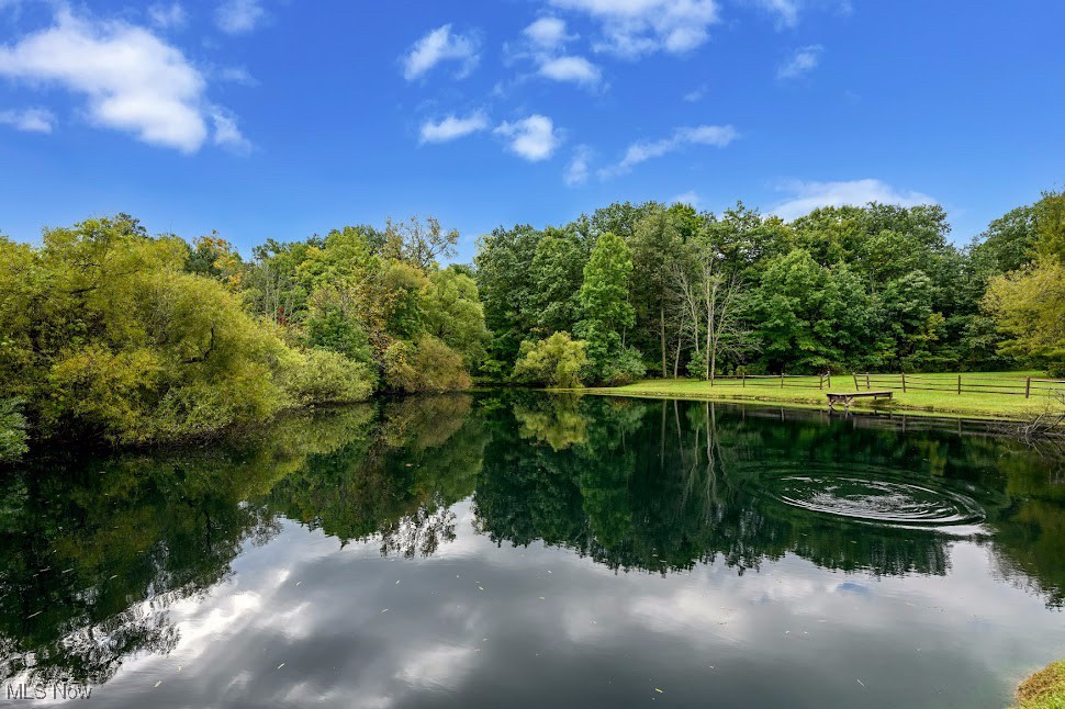 3832 Sharon Copley Road, Medina, Ohio image 33