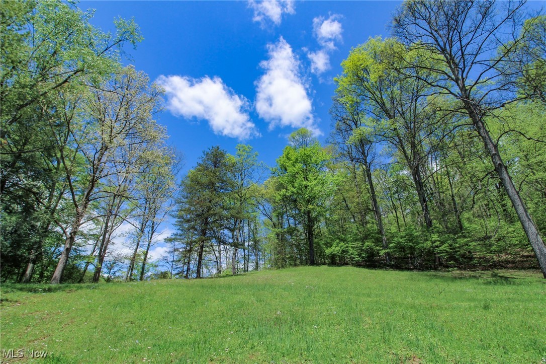 45222 Benwood Road, Sardis, Ohio image 10