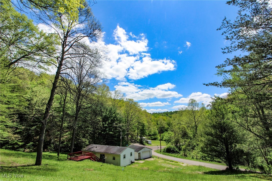 45222 Benwood Road, Sardis, Ohio image 1