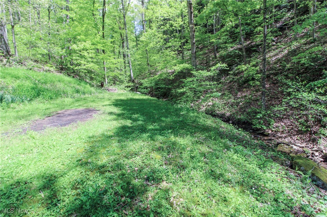 45222 Benwood Road, Sardis, Ohio image 28