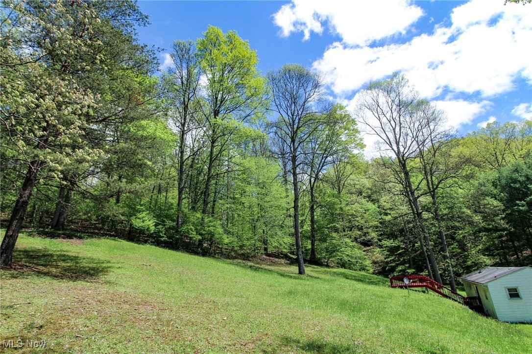 45222 Benwood Road, Sardis, Ohio image 30