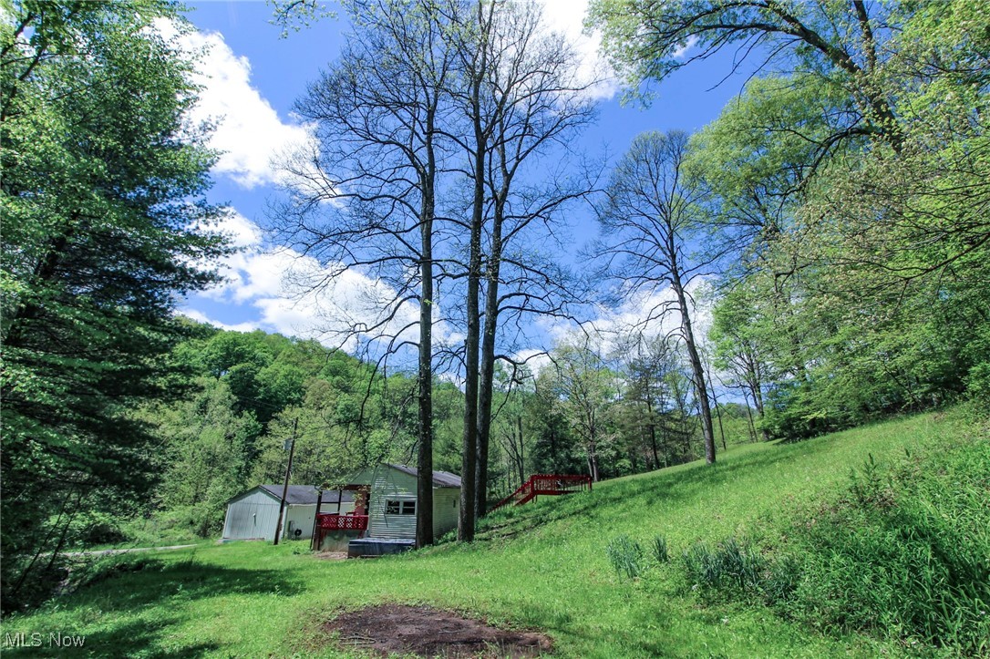45222 Benwood Road, Sardis, Ohio image 7