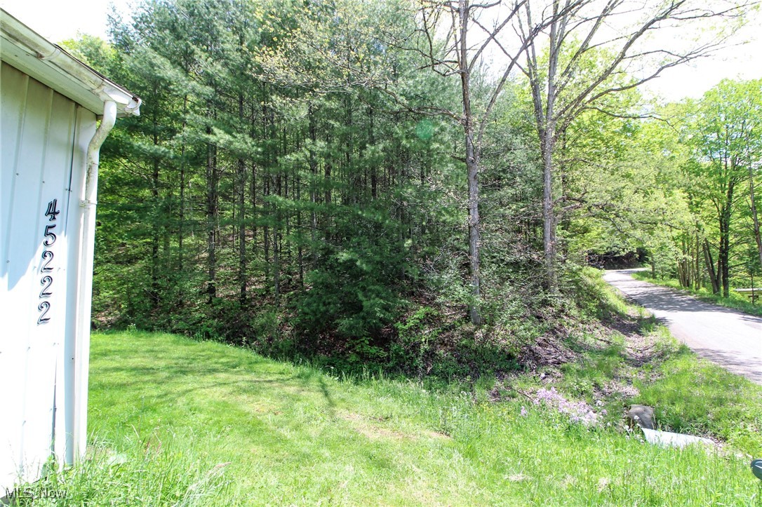 45222 Benwood Road, Sardis, Ohio image 12