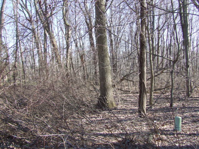 Rare 1/2 acre vacant lot in West Akron, surrounded by beautiful homes. Level, wooded, utilities available. Close to shopping and expressway, yet away from the hustle and bustle. Waiting for you and your builder!