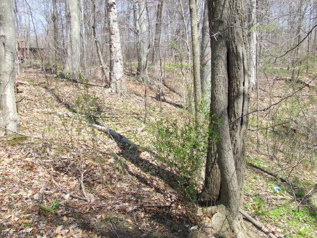 Fairlawn Heights Sect F, lot 217 - Land