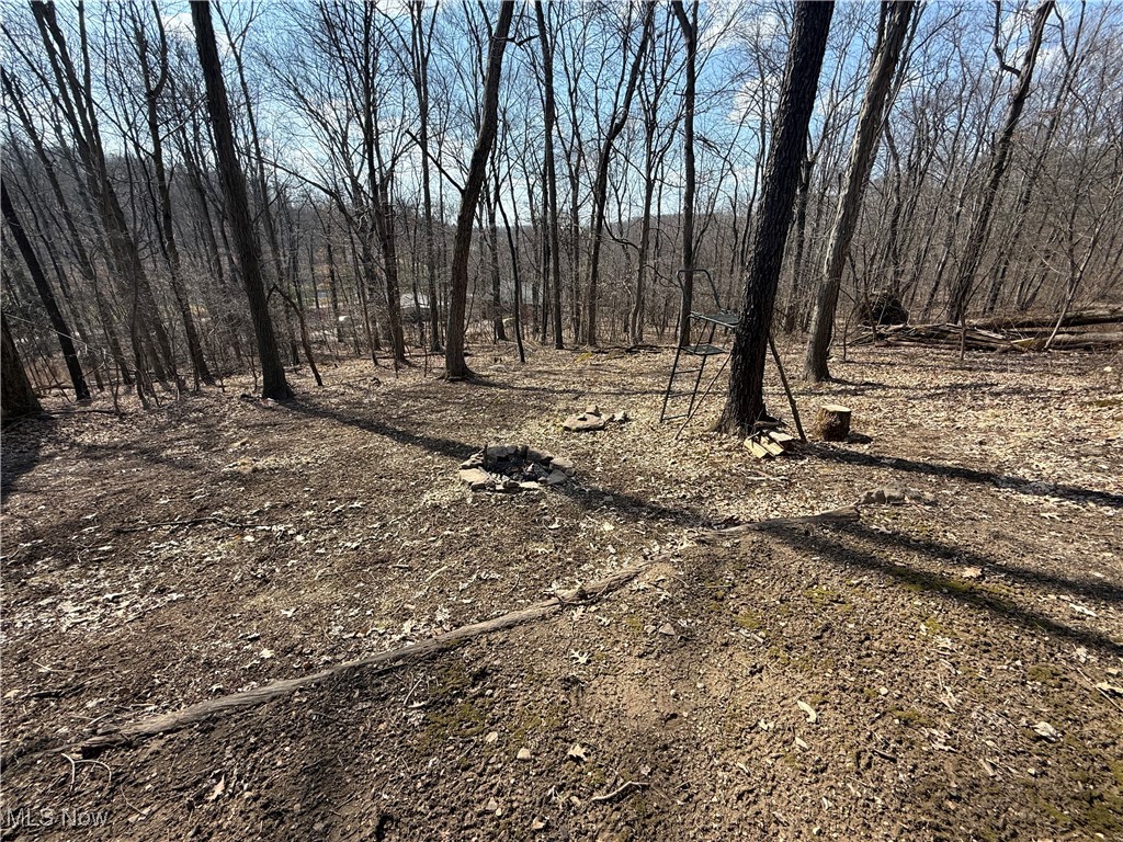 1855 Laramie Road, Carrollton, Ohio image 7