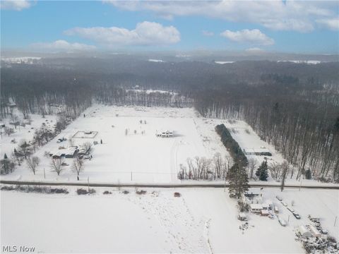 Tiny photo for 9737 Stanley Road, Garrettsville, OH 44231 (MLS # 5186328)