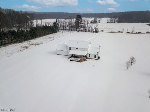 Tiny photo for 9737 Stanley Road, Garrettsville, OH 44231 (MLS # 5186328)