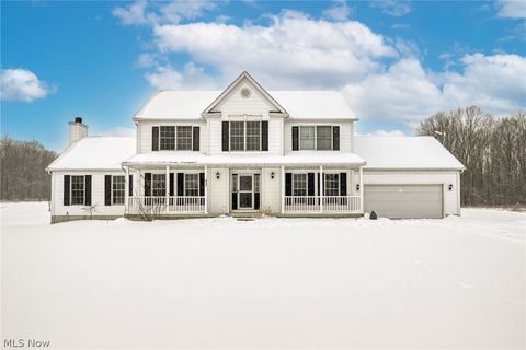 Photo of 9737 Stanley Road, Garrettsville, OH 44231 (MLS # 5186328)