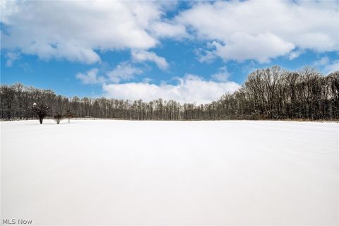Tiny photo for 9737 Stanley Road, Garrettsville, OH 44231 (MLS # 5186328)