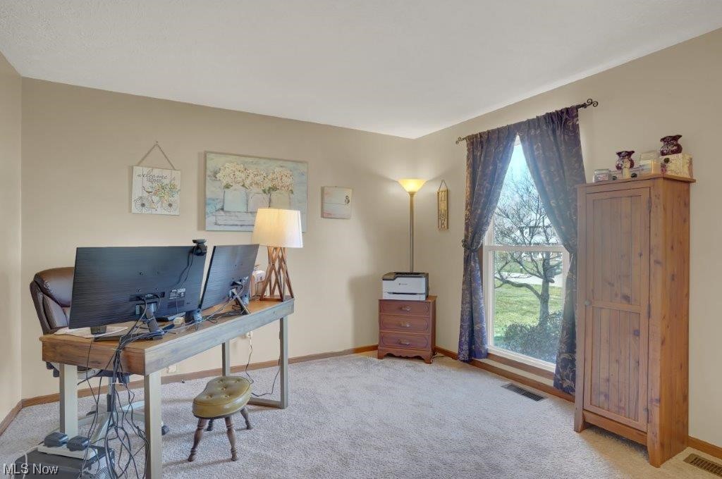 West Moor Allotment 03 - Residential