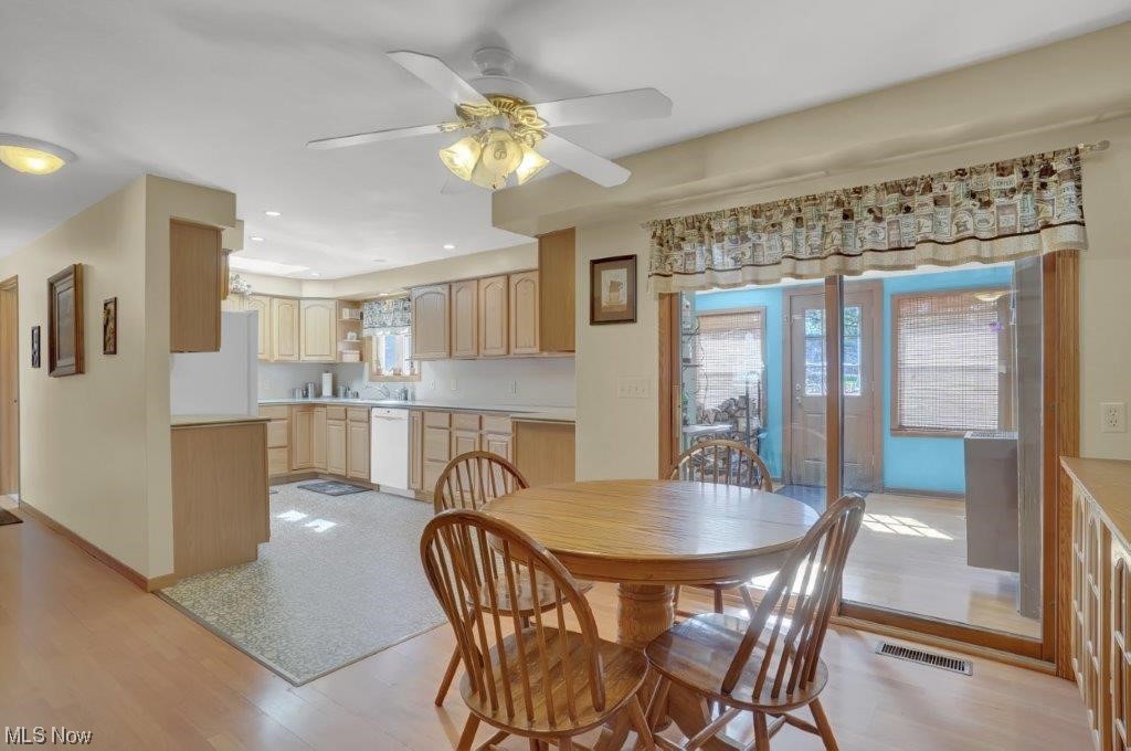 West Moor Allotment 03 - Residential