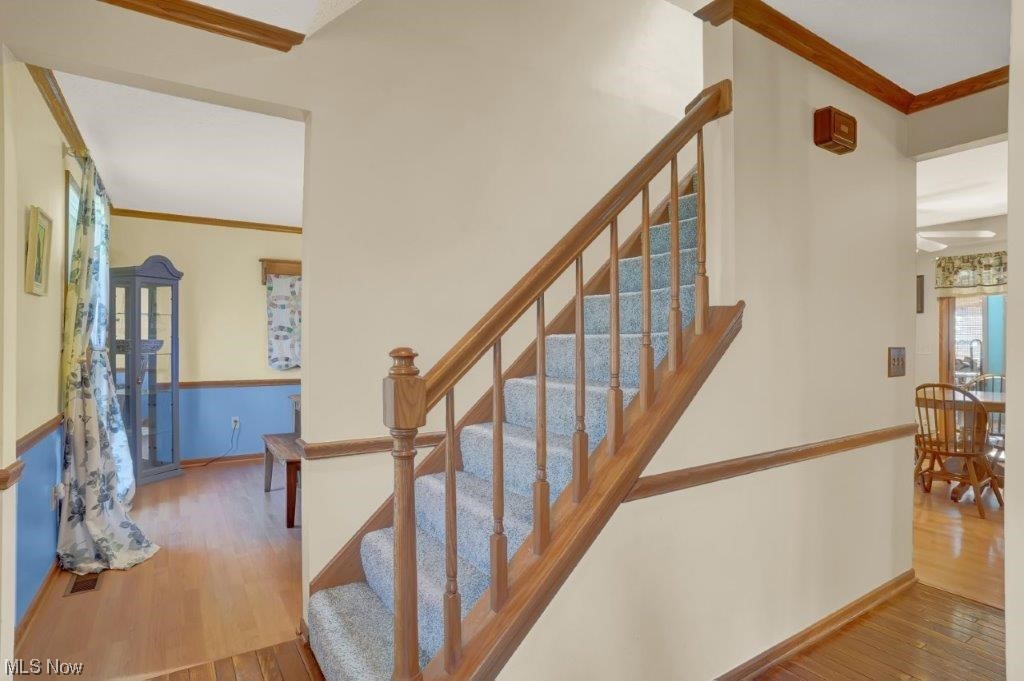 West Moor Allotment 03 - Residential