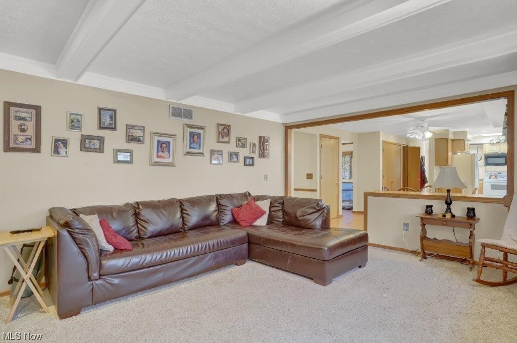 West Moor Allotment 03 - Residential