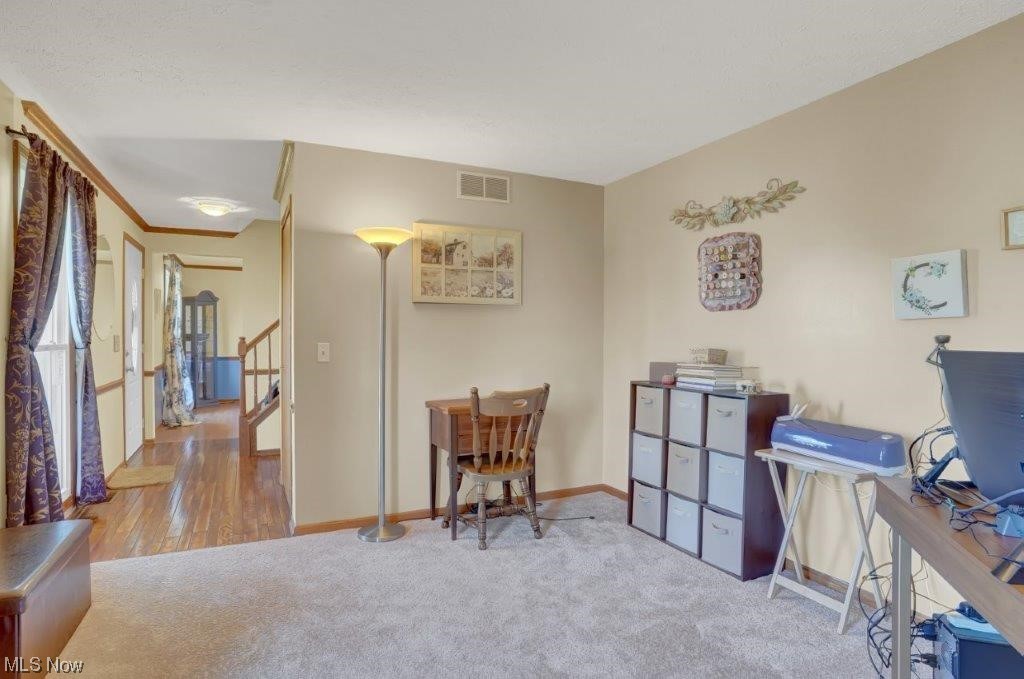 West Moor Allotment 03 - Residential