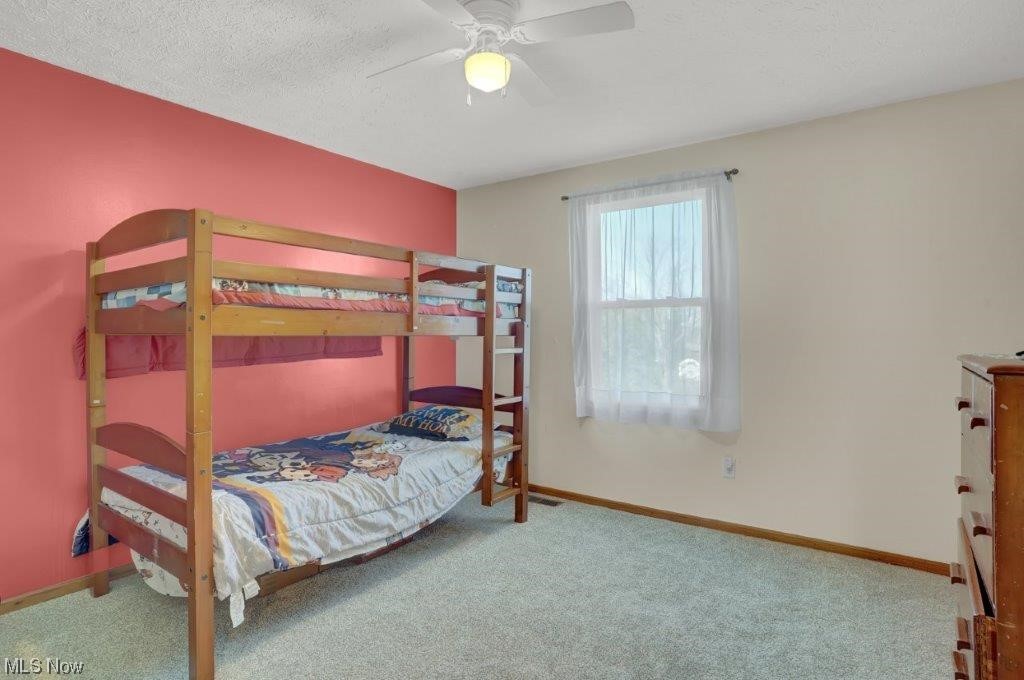 West Moor Allotment 03 - Residential