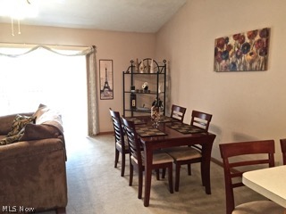 River Rdg Condo - Residential