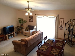 River Rdg Condo - Residential