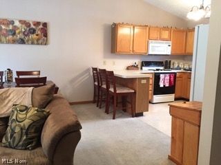 River Rdg Condo - Residential