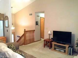 River Rdg Condo - Residential