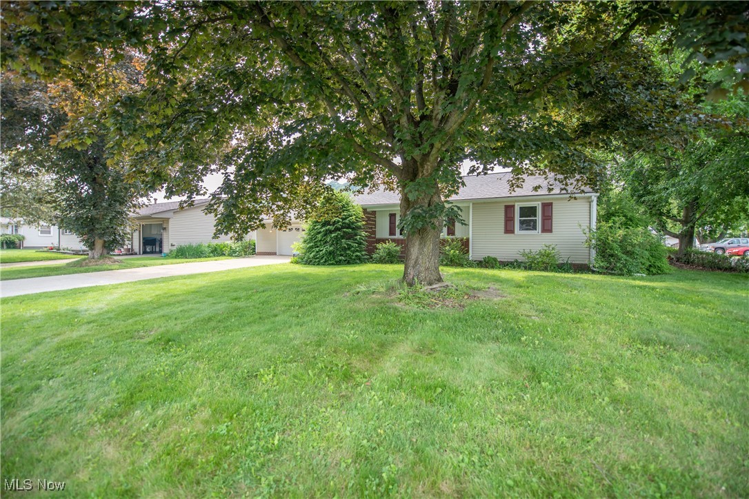 Village/Minerva - Residential