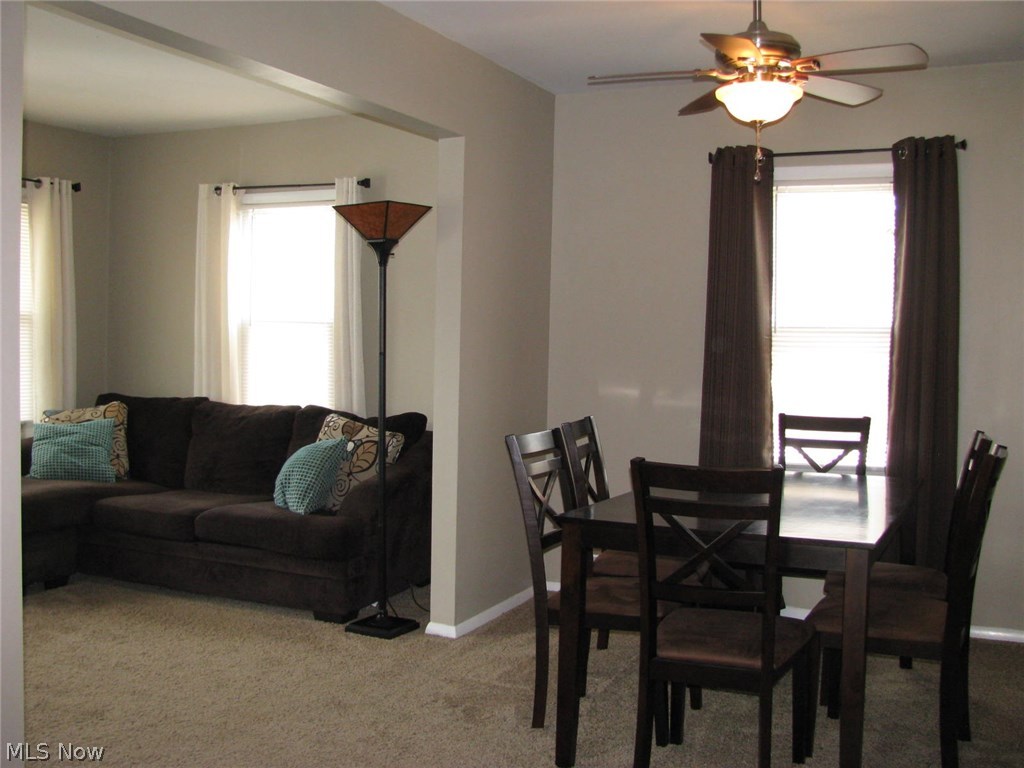 Mayfield Heights Park - Residential