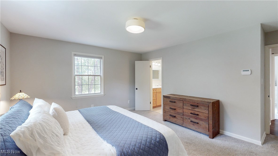 Pine Tree Colony - Residential