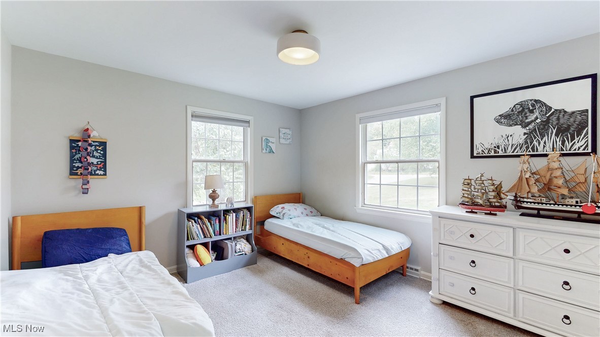 Pine Tree Colony - Residential