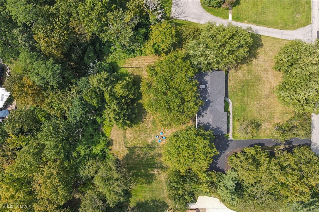 Pine Tree Colony - Residential