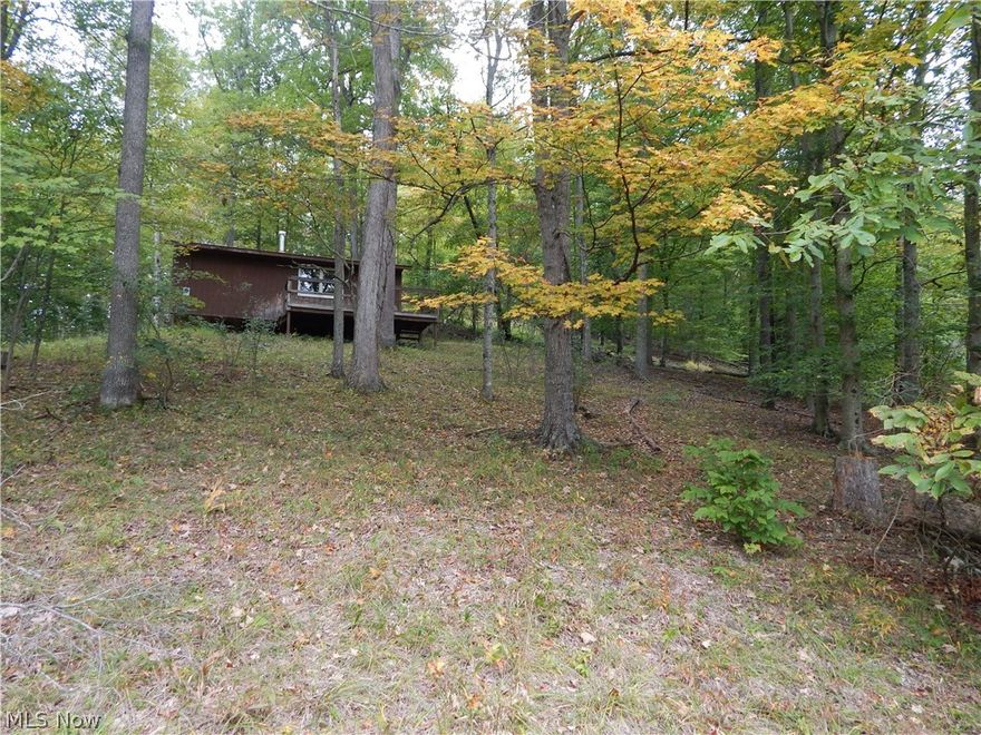 THE DEER ARE WAITING!  
If you are looking for a place to hunt and get away to, here is 126+/- Acres & cabin that you can call your own! This Doddridge County property has nice woods to hunt and a 20’ X 28’ cabin that has a front deck overlooking the woods and wildlife.  The deer love laying under the deck and have been known to take naps there!  Inside the cabin, you have electric and a woodstove and you can take a short walk to an outhouse to do your business.  Bring your clothes, food and water and you’re all set for spending time at your relaxing retreat!  With 126+/- acres and this cabin, it’s a sweet deal!