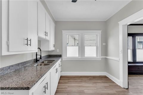 Tiny photo for 428 E 148th Street #1/DN, Cleveland, OH 44110 (MLS # 5190125)