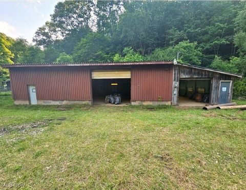 Vacant Land For Sale - 1901 Vandale Fork Road<br/> Roane County, Spencer, WV 25276
