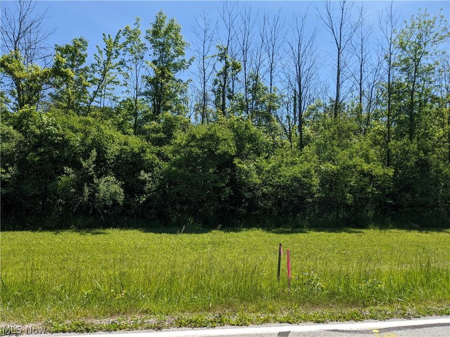 Build your dream home on this out of town lot. Close to town and hospitals. Over an acre for your
own private setting. Parcel #4 Taxes TBD