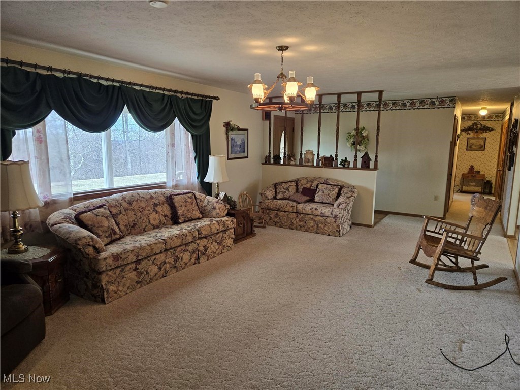 17051 Crooked Tree Road, Dexter City, Ohio image 5