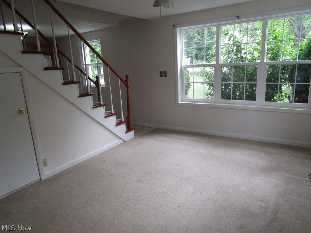 Kingsville - Residential