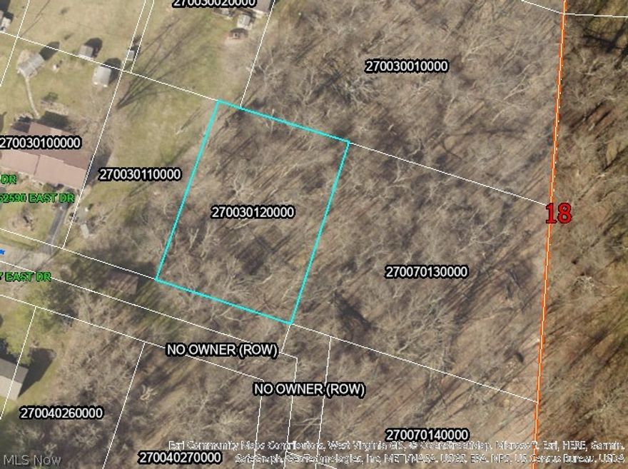 0.58 acre lot in Wilson, Ohio. This rare opportunity, to own land in the village of Wilson, is available for purchase now.