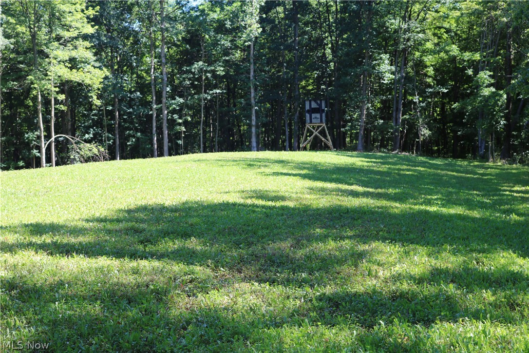 Ready made 81 acre trophy property lays next to additional 51 acres that is also for sale, buy one or both and have access to premium hunting land in a well known trophy buck area. This property has multiple food plots, hunting blinds, mineral sites, water features. Great trail system throughout the whole property. A turnkey hunting tract that is filled with a robust wildlife population. A great cabin site at the front of the property that could be your next home site as well. Make this your next investment and reap the benefits of the sellers hard work in getting this tract ready for the season. Minerals transfer, a short drive from Millersburg.