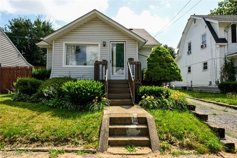 Homes For Sale - 1253 Dietz Avenue<br/> Akron, OH 44301