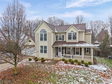 14084 Crystal Creek Drive Strongsville OH 44149