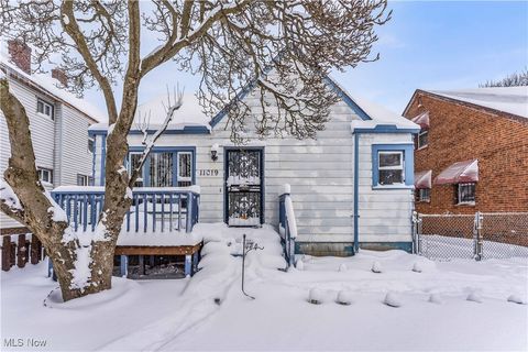 11019 Avon Avenue Cleveland OH 44105