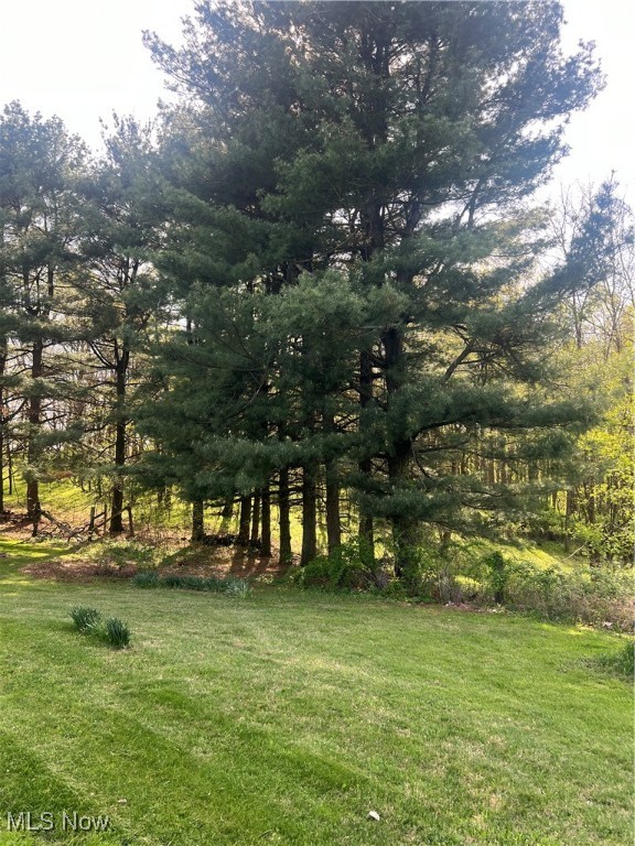 9877 County Road 292, Millersburg, Ohio image 26