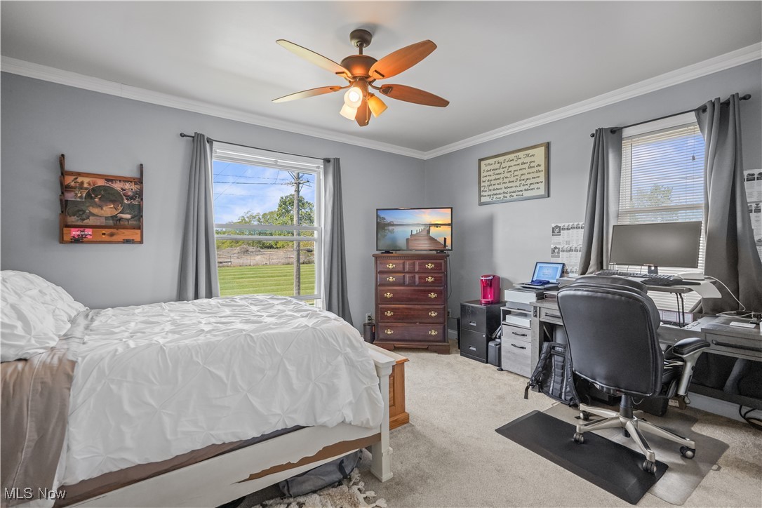 North Ashland - Residential