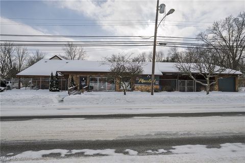 Tiny photo for 468 W Vine Street, Alliance, OH 44601 (MLS # 5183804)