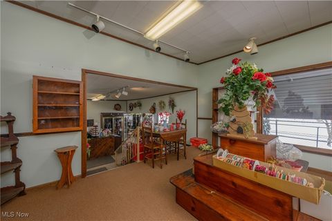 Tiny photo for 468 W Vine Street, Alliance, OH 44601 (MLS # 5183804)