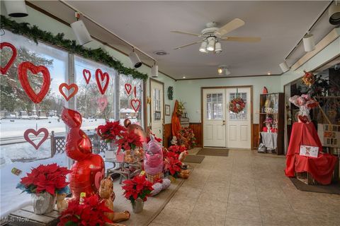 Tiny photo for 468 W Vine Street, Alliance, OH 44601 (MLS # 5183804)