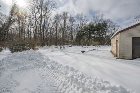 Tiny photo for 468 W Vine Street, Alliance, OH 44601 (MLS # 5183804)
