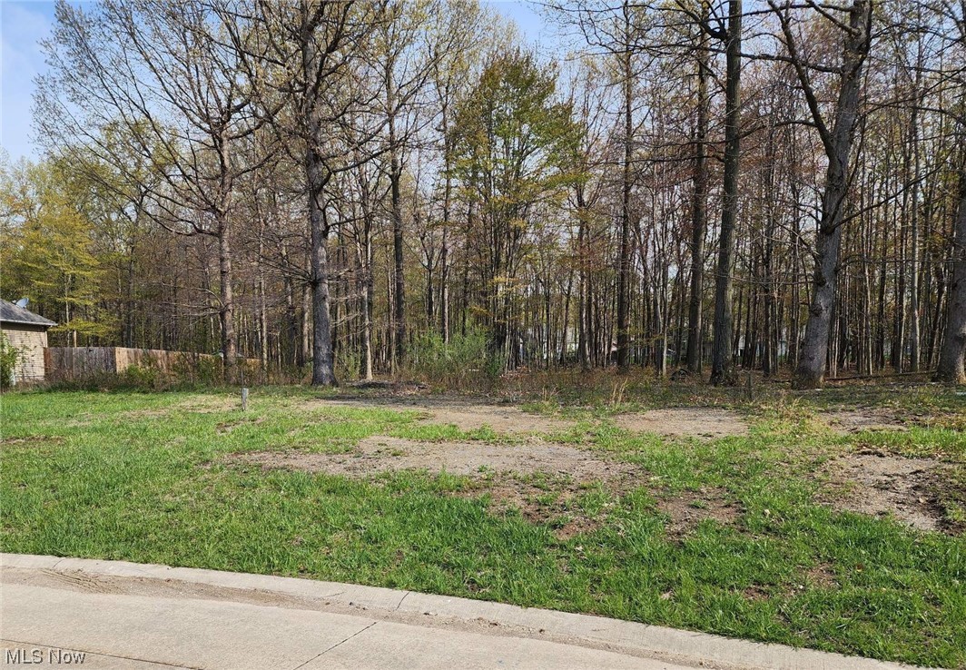 Natures Preserve Sub - Land