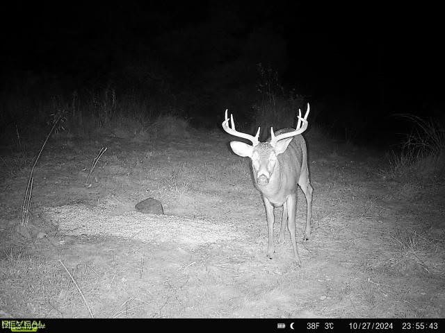 Virginia Township - Residential