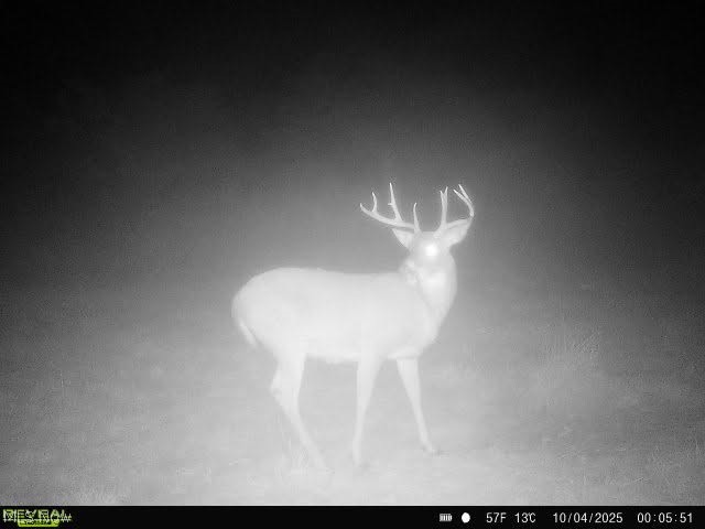 Virginia Township - Residential